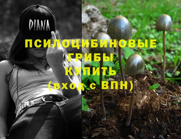 мдпв Абдулино