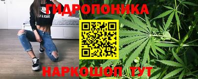 мяу мяу мука Малоярославец