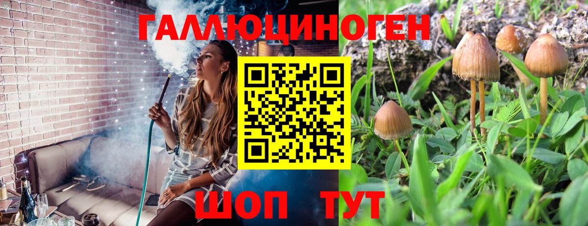 Сальск  Псилоцибиновые грибы Psilocybine cubensis  Псилоцибиновые грибы ЛСД  Вход с VPN 