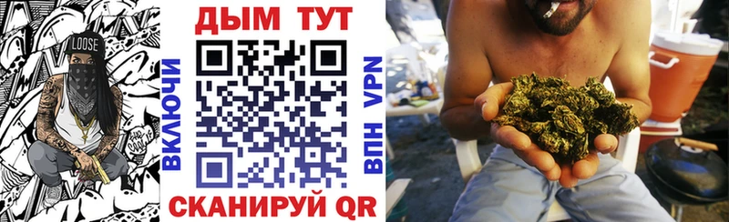 Шишки марихуана конопля  Сальск 